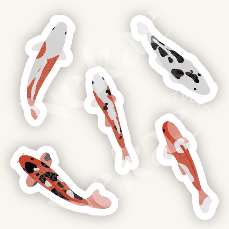 Pack de stickers Le bassin aux carpes koï avec cinq carpes koi de couleurs différentes
